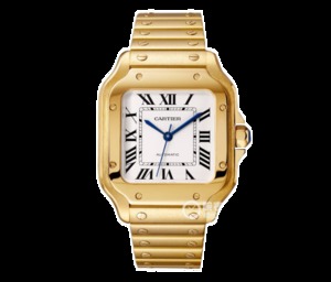 Custodia BV Cartier New Santos (Men's Large): 316 Material Dial 18K Gold Watch